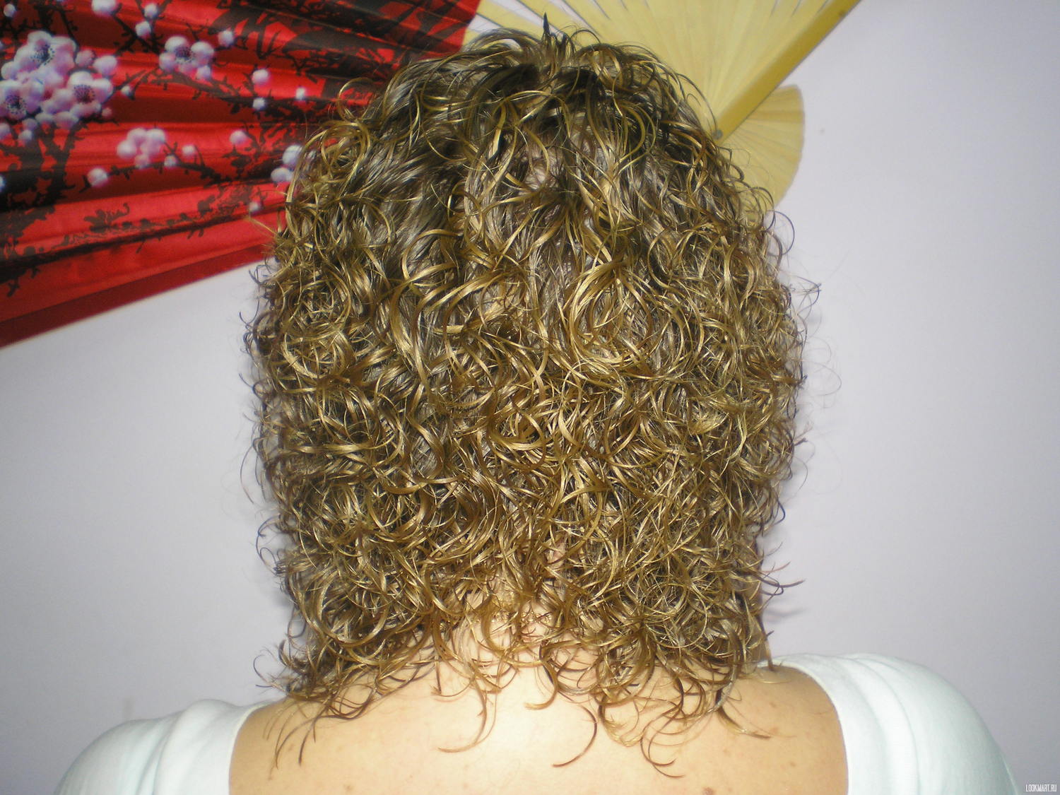 Биозавивка волос минусы